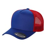 Tencel Solid Curved Bill - ROYAL/RED