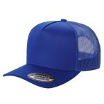 Tencel Solid Curved Bill - ROYAL