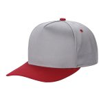 Tencel Curved Bill - L.GREY/RED