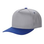 Tencel Curved Bill - L.GREY/ROYAL
