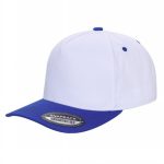 Tencel Curved Bill - WHITE/ROYAL