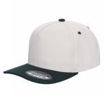 Tencel Curved Bill - TAN/D.GREEN