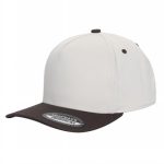 Tencel Curved Bill - TAN/BROWN